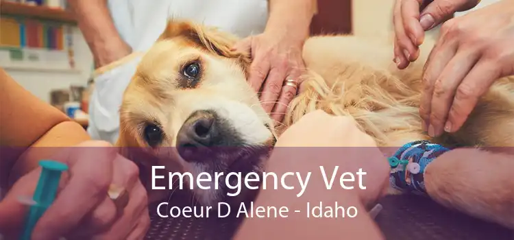 Emergency Vet Coeur D Alene - Idaho