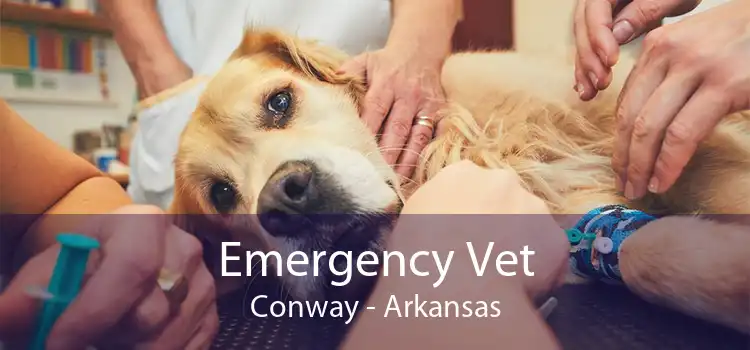 Emergency Vet Conway - Arkansas