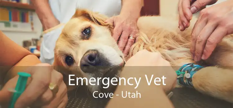 Emergency Vet Cove - Utah