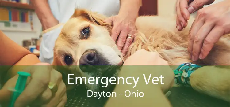 Emergency Vet Dayton - Ohio