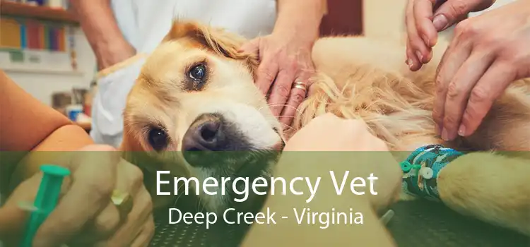 Emergency Vet Deep Creek - Virginia