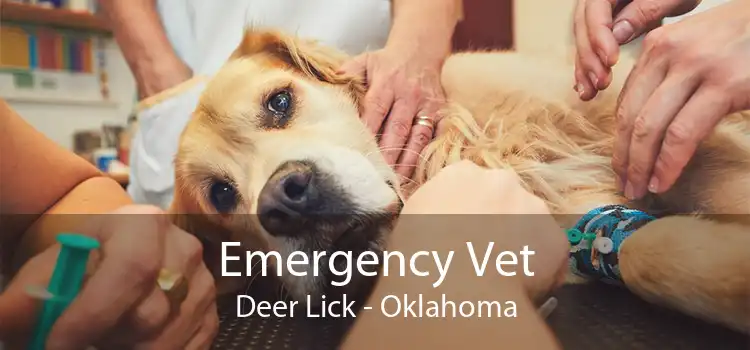 Emergency Vet Deer Lick - Oklahoma