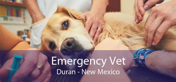 Emergency Vet Duran - New Mexico