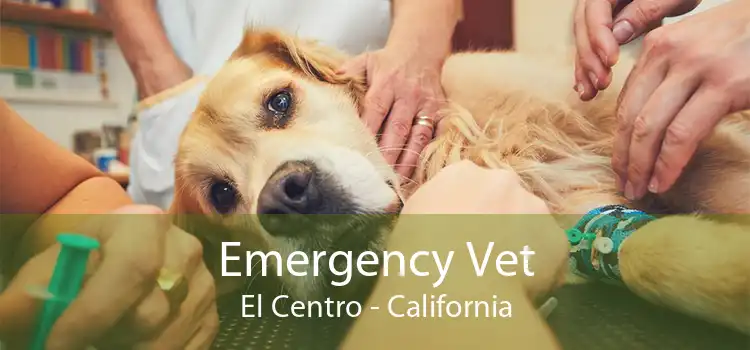 Emergency Vet El Centro - California