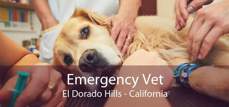 Emergency Vet El Dorado Hills - California