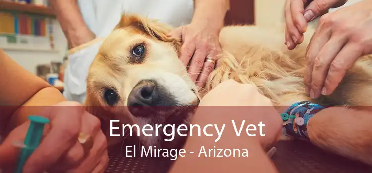 Emergency Vet El Mirage - Arizona