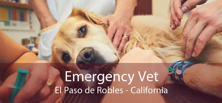Emergency Vet El Paso de Robles - California