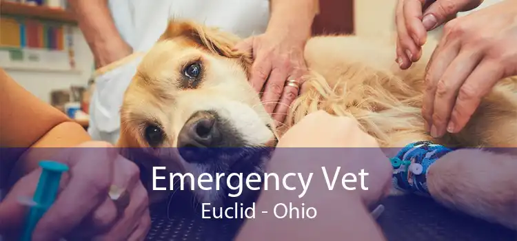 Emergency Vet Euclid - Ohio