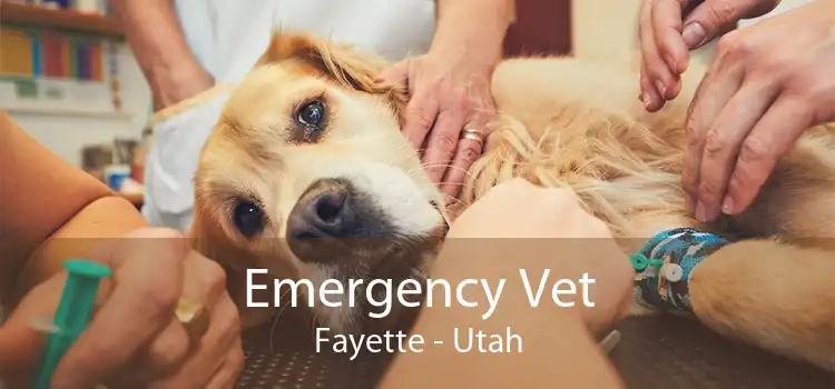 Emergency Vet Fayette - Utah