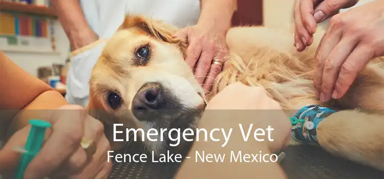 Emergency Vet Fence Lake - New Mexico