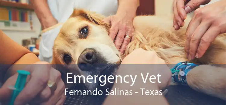 Emergency Vet Fernando Salinas - Texas