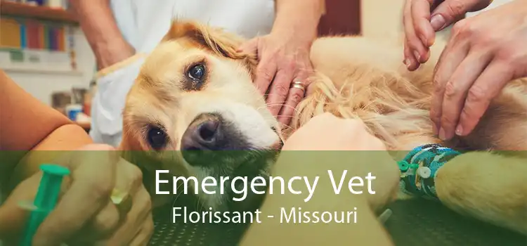 Emergency Vet Florissant - Missouri