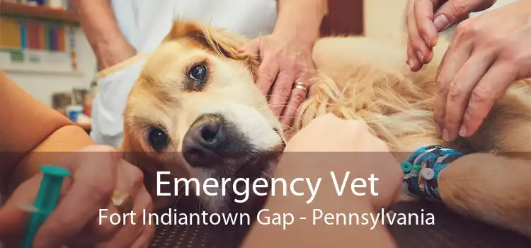 Emergency Vet Fort Indiantown Gap - Pennsylvania