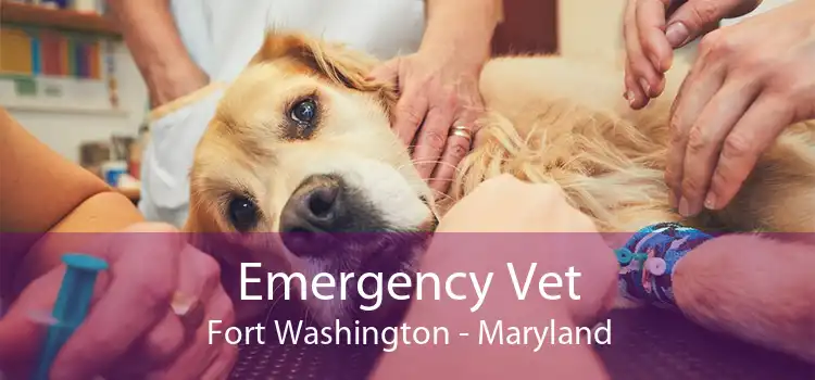 Emergency Vet Fort Washington - Maryland