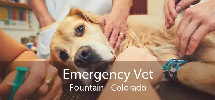 Emergency Vet Fountain - Colorado