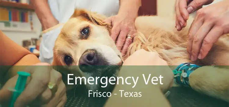 Emergency Vet Frisco - Texas