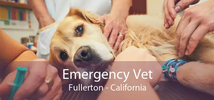 Emergency Vet Fullerton - California