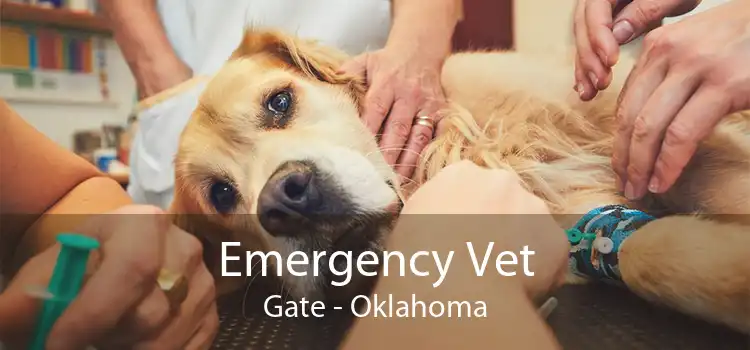 Emergency Vet Gate - Oklahoma