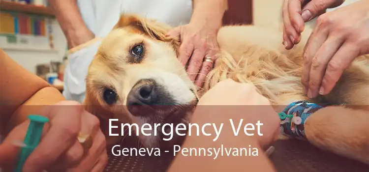 Emergency Vet Geneva - Pennsylvania