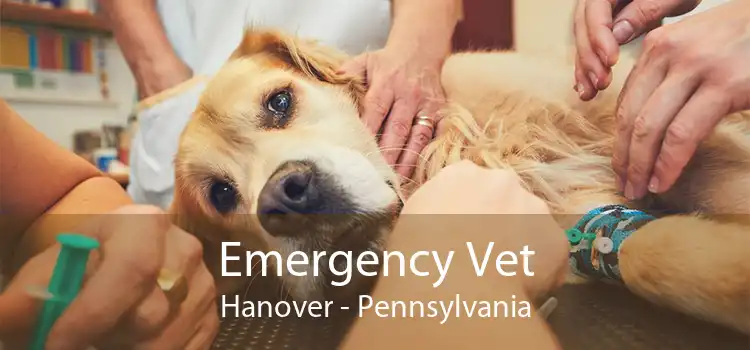 Emergency Vet Hanover - Pennsylvania