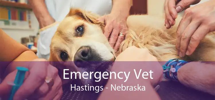 Emergency Vet Hastings - Nebraska