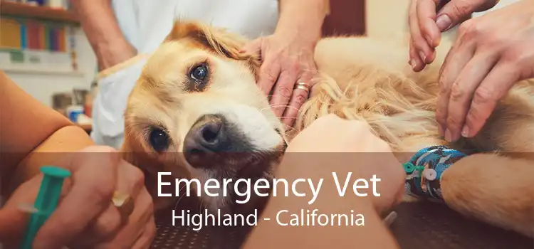 Emergency Vet Highland - California