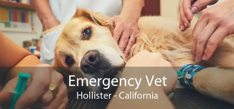 Emergency Vet Hollister - California