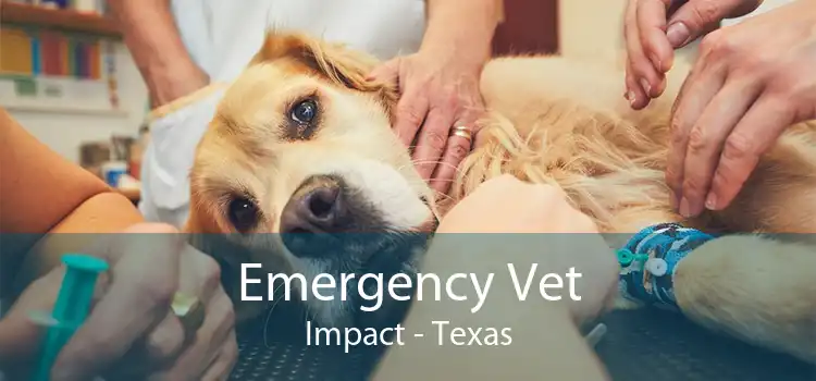 Emergency Vet Impact - Texas