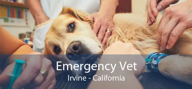 Emergency Vet Irvine - California