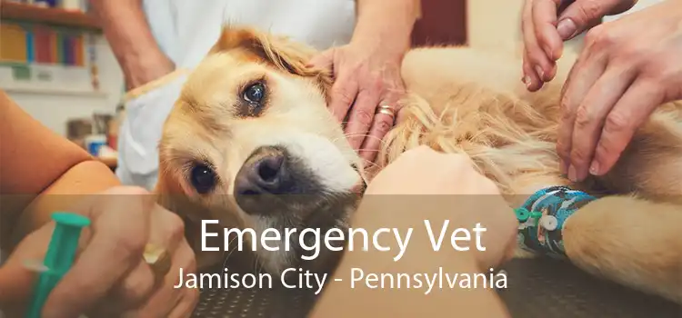 Emergency Vet Jamison City - Pennsylvania