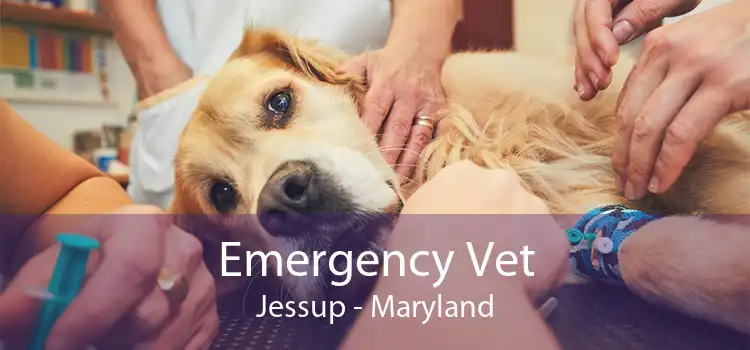 Emergency Vet Jessup - Maryland