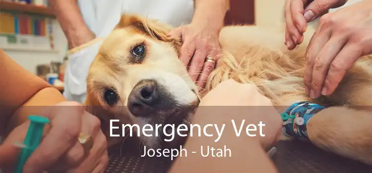 Emergency Vet Joseph - Utah