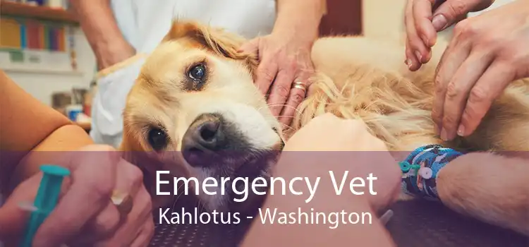 Emergency Vet Kahlotus - Washington