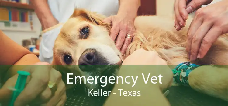 Emergency Vet Keller - Texas