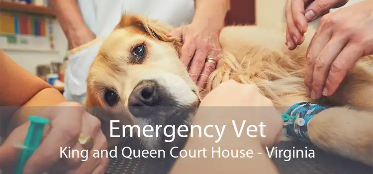 Emergency Vet King and Queen Court House - Virginia