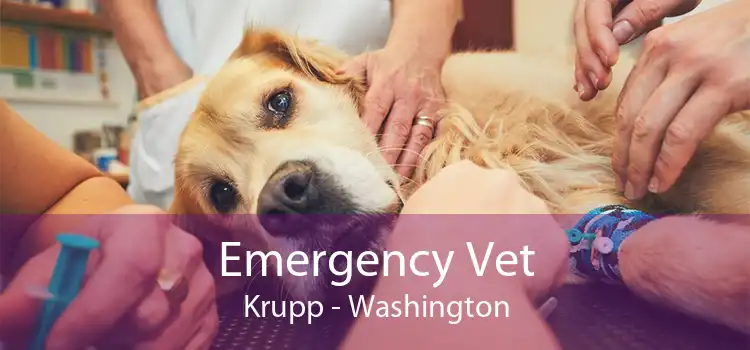 Emergency Vet Krupp - Washington