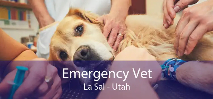 Emergency Vet La Sal - Utah