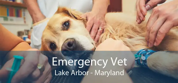 Emergency Vet Lake Arbor - Maryland