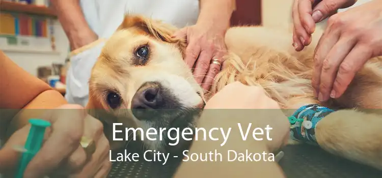 Emergency Vet Lake City - South Dakota