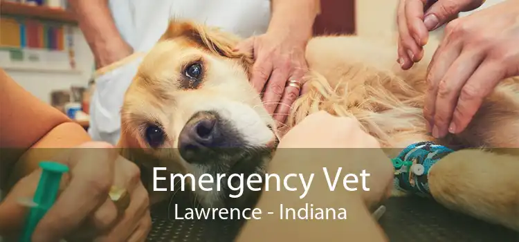 Emergency Vet Lawrence - Indiana