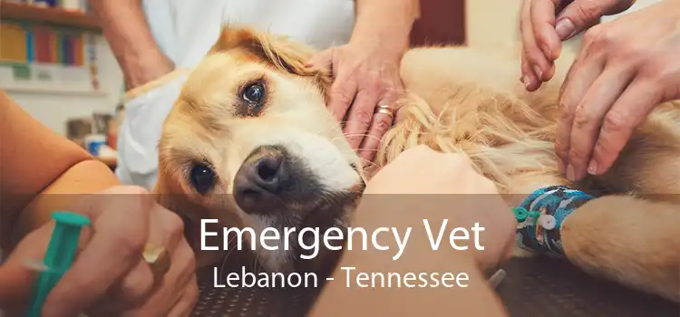 Emergency Vet Lebanon - Tennessee