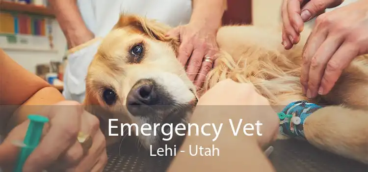 Emergency Vet Lehi - Utah