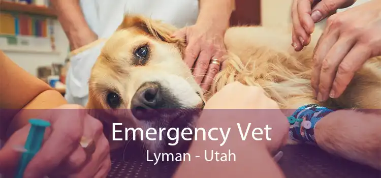 Emergency Vet Lyman - Utah