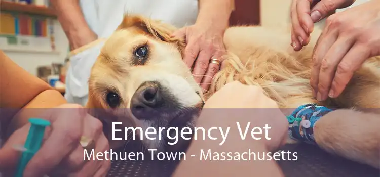 Emergency Vet Methuen Town - Massachusetts