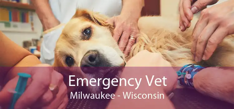 Emergency Vet Milwaukee - Wisconsin