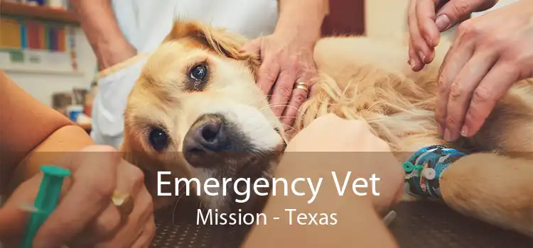 Emergency Vet Mission - Texas