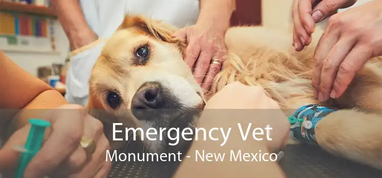 Emergency Vet Monument - New Mexico