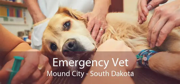 Emergency Vet Mound City - South Dakota