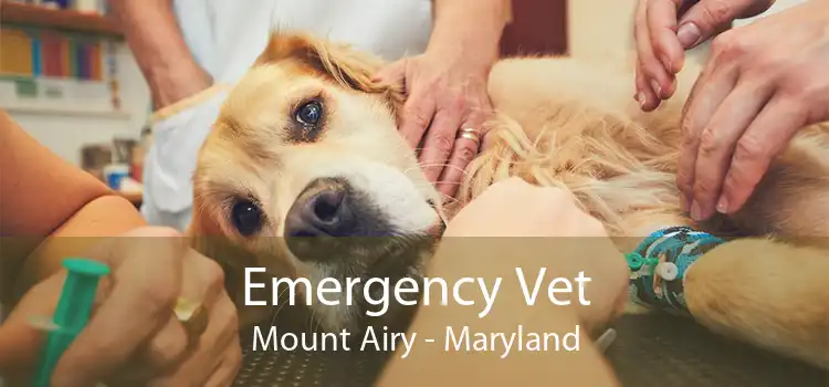 Emergency Vet Mount Airy - Maryland