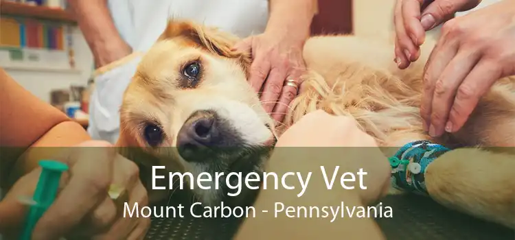 Emergency Vet Mount Carbon - Pennsylvania
